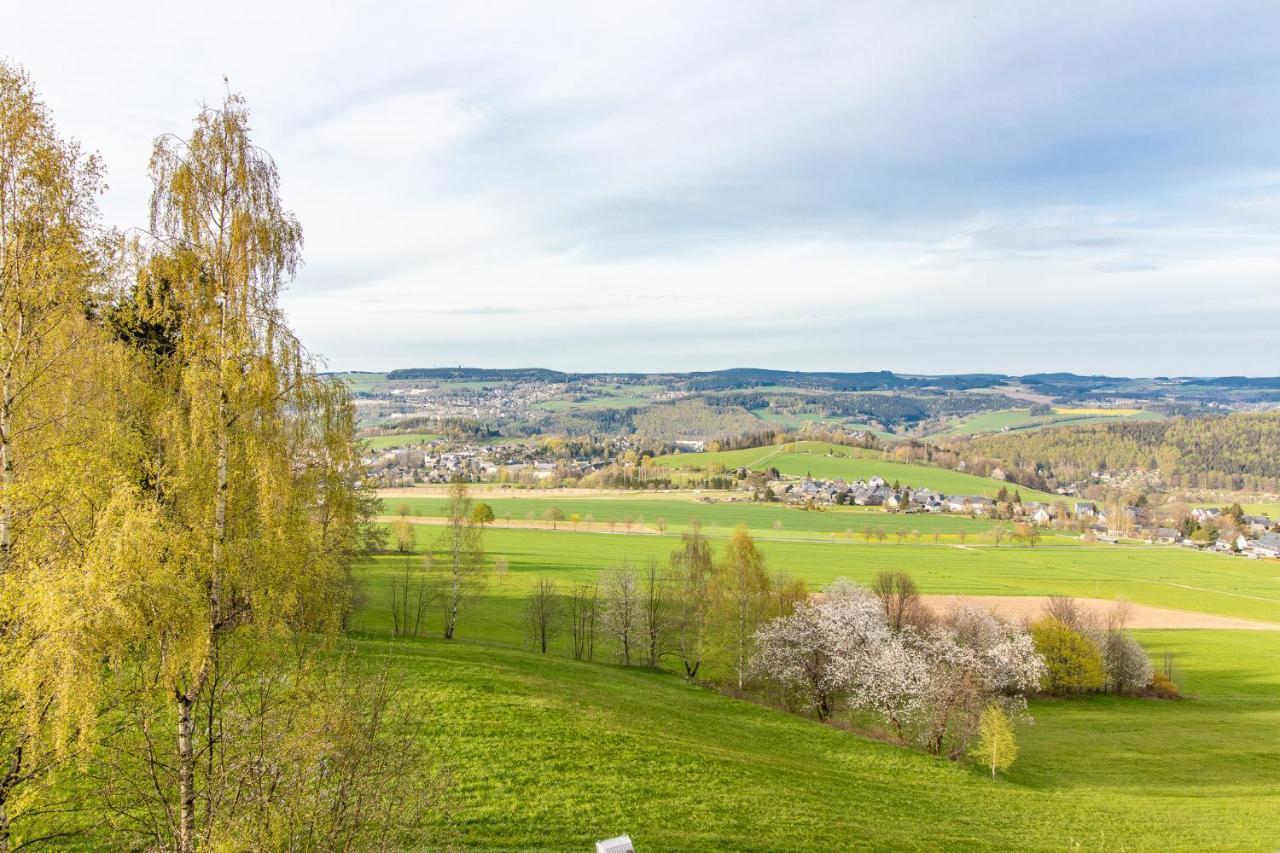 Apartment Bergwiese I Balkon I Aufzug I Stellplatz Шварценберг Екстериор снимка