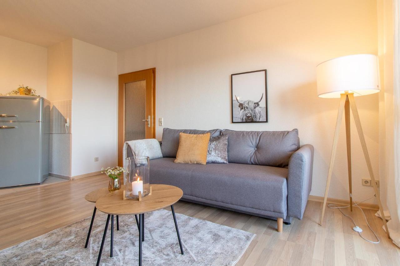 Apartment Bergwiese I Balkon I Aufzug I Stellplatz Шварценберг Екстериор снимка